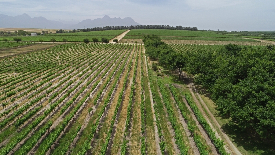 Commercial Property for Sale in Stellenbosch Farms Western Cape